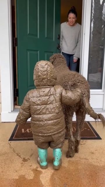 Смешные домашние животные