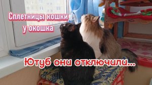 ЮТУБ они отключили...