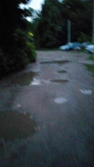 АВТОЗАГОН