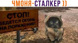 ✅ ЧМОНЯ ))) Игровые мемы