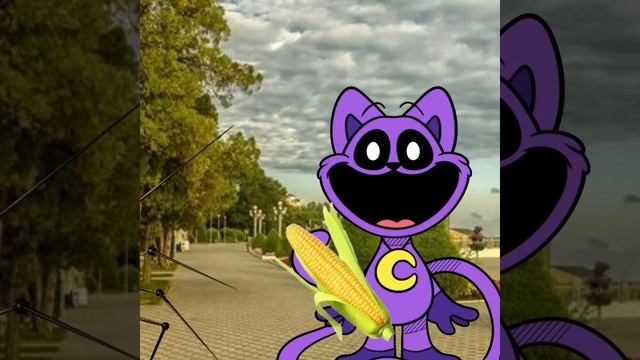 КоНоН 🌚 смотреть онлайн