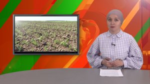 Биектау ТВ Выпуск от 26 05 2026