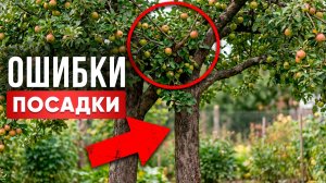 Главная ОШИБКА посадки - ЧЕРНЫЙ РАК и ГНИЛЬ начинаются здесь!