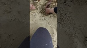 1000026167.mp4