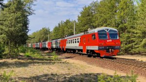ЭД4М 0376 сообщением Белоостров - Санкт-Петербург на перегоне Белоостров - Сестрорецк