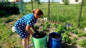 Новые Клумбы Своими Руками /  Готовлю Вкусняшки / Посадка Голубики /
