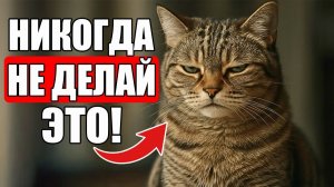 15 Вещей, которые Ваша Кошка НИКОГДА не ПРОСТИТ!