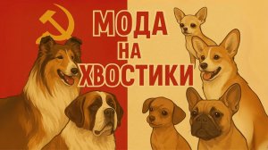 ТОП-8 Собаки СССР Сравним моду на собак в Советском союзе и современной России