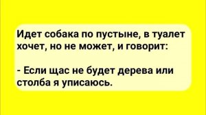 АНЕКДОТЫ!_Сифилитик_на_нарах_Сборник_Смешных_Анекдотов!_Выпуск_34