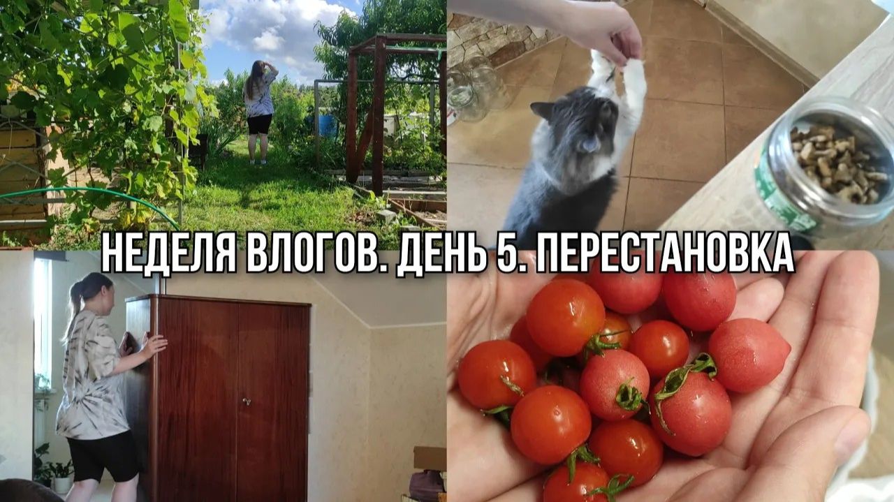 АРХИВ 2025 L Vlog: затеяла перестановку I меня ни что не остановит! 20.08.2025
