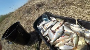 бешеная Рыбалка на донки - не успевал вытаскивать Чебака!!!