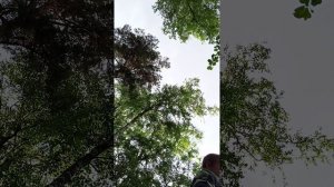 камней 🪨 🏕️ в походе часть 4