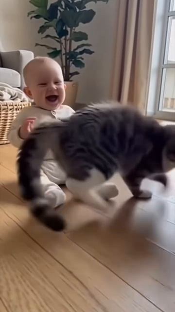 Смешные домашние животные
