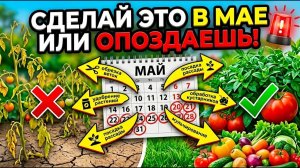 8 вещей, которые нужно сделать в мае — иначе летом будет поздно