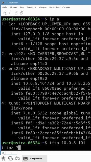 TFTP-клиент на Astra Linux. смотреть онлайн