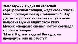 АНЕКДОТЫ!_В_Кабинете_Уролога_Сборник_Смешных_Анекдотов!_Выпуск_40