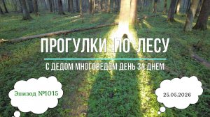 Прогулки по лесу День за днем с дедом Многоведом 25 мая 2026г Эпизод 1015