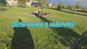 УКРАШАЮ БЕСЕДКУ НА ПРАЗДНИК ДЕНЬ РОЖДЕНИЯ