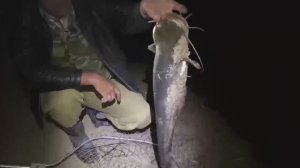 Ловля хищника в Ростовской области