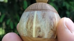 Шкатулка на цветущей ели