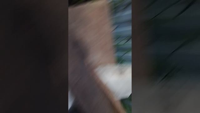 1040.mp4 смотреть онлайн