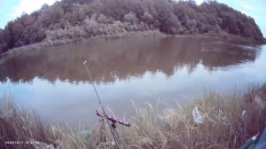Рыбачил на пикерное удилище🎣 Дистанция около берега примерно 10 метров. Кормушка 15 грамм.
