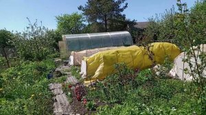 В ЛЕНИНГРАДСКОЙ ОБЛАСТИ ПОХОЛОДАНИЕ.