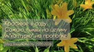 Красивое сейчас цветущее. Пропалываю цветники, сажаю тыковки на целину / vlog Дача как есть 25.05.20