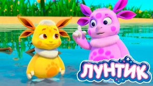 Мультик лунтик для детей / Мультфильм для малышей Лунтик / Развивающий мультик Лунтик