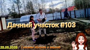 Дачный участок #103 🌳 Сажаем яблоню с дочкой — память на всю жизнь!