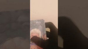 ✨✨✨✨ Смотрим послание Рода ✨✨✨✨