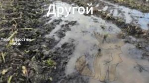 Ну давай колобок? и в опис пжлст. И вы сеодня без обложки.