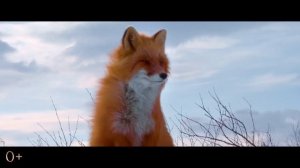 Огненный лис - Трейлер