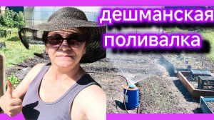 Она мне точно нужна, чтобы ничего не сгорело👍🍓🍅🥒🥒🥕