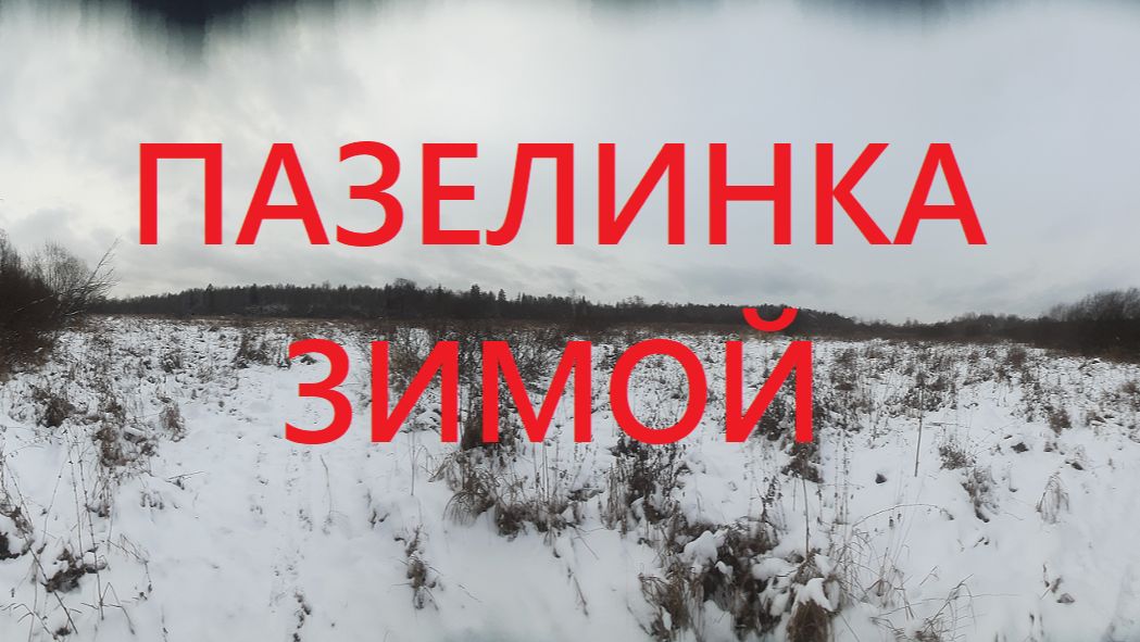 ПАЗЕЛИНКА ПРЕОДОЛЕНА!) 11-12-25