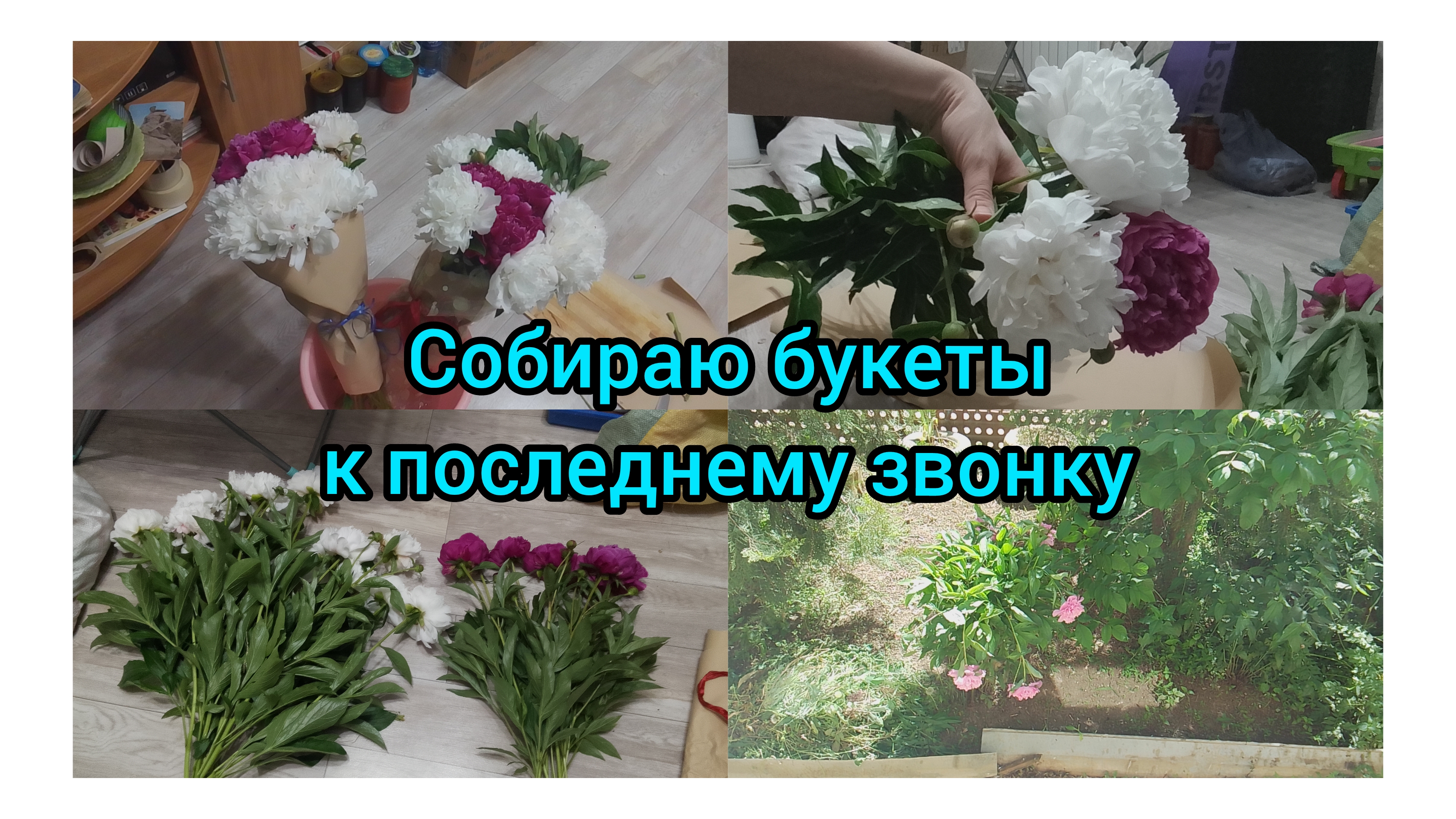 Заварила Букет пионов!Наши Будни
25.05.2026