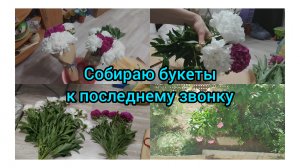Заварила Букет пионов!Наши Будни
25.05.2026