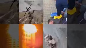 И вот так их теперь везде где не появятся.