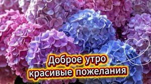 Доброе утро красивые пожелания – музыкальная открытка с душевными словами
