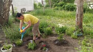Я ВСЕМ МЕШАЮ, Я ПОЖИЗНЕННО ОДНА, ОТКРОВЕННЫЙ РАЗГОВОР