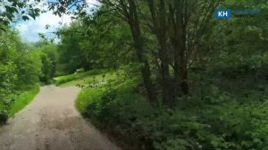 «Лесной апокалипсис» в Калуге вслед за нерушимым особняком на Оке полезли новые участки с рабицей