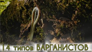 14 типов варганистов. Смешная игра на варгане.