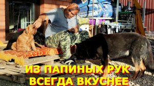 90. Переезд на Юг. Так вкуснее.