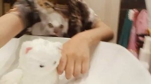 хахаха смотри