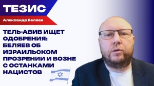 Зачем Израиль заметил украинский нацизм