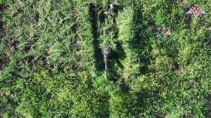 Боевая подготовка снайперов ГрВ «Центр»