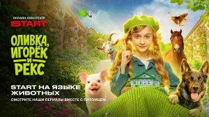 START на языке животных | «Оливка, Игорек и Рекс» | Смотрите на START