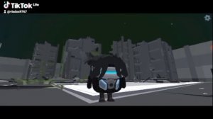 1000000768.mp4