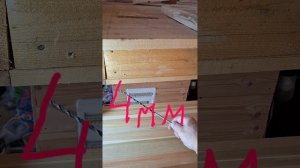1000059893.mp4 (Собака наблюдает за устройством лестницы на 2-ой этаж в доме А-фрейм)