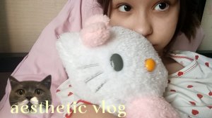 aesthetic girl vlog🦩🌸